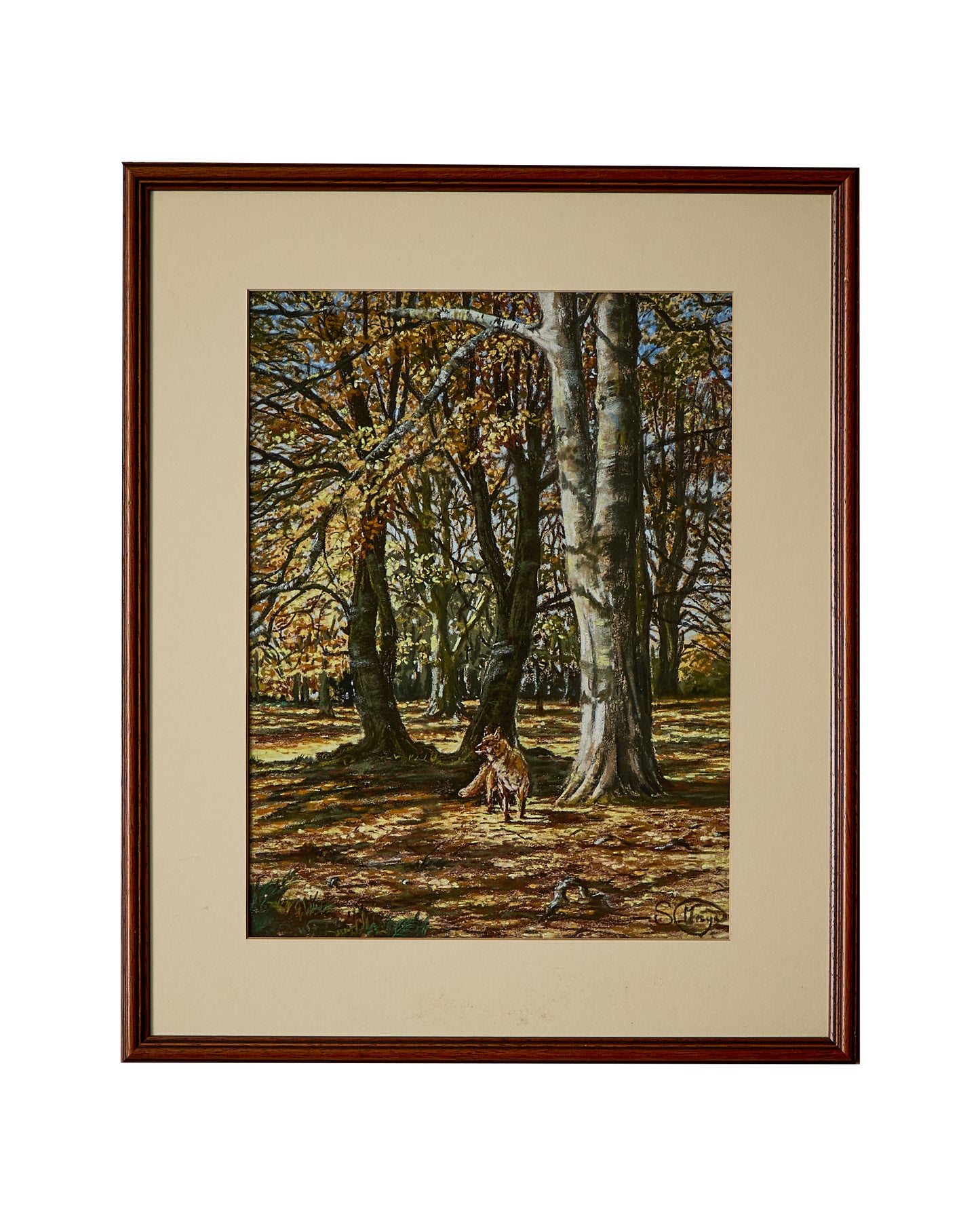 Fox Woodland Scene - Pastel Painting - Framed and Signed Stella May