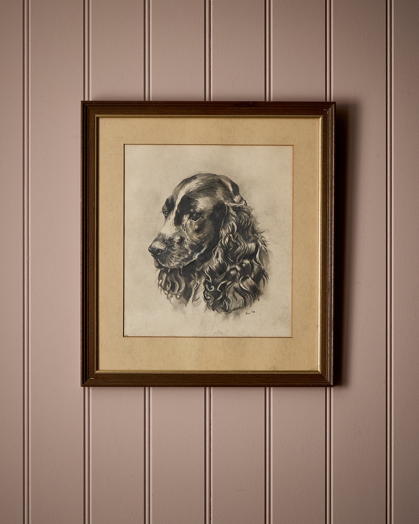 Spaniel - Portrait of a Dog - Signed and Dated