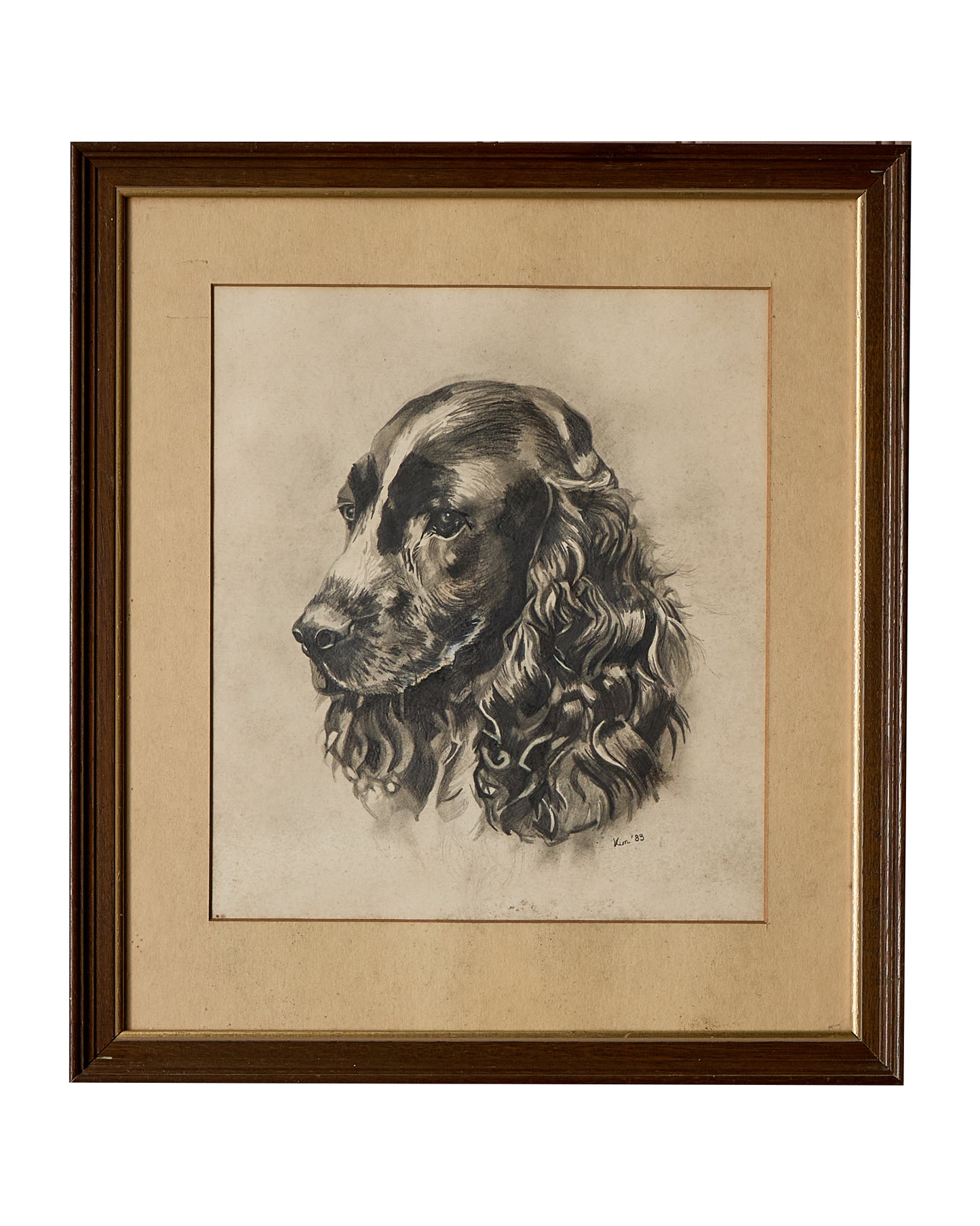 Spaniel - Portrait of a Dog - Signed and Dated