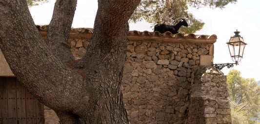 Sourcing - Mallorca Style