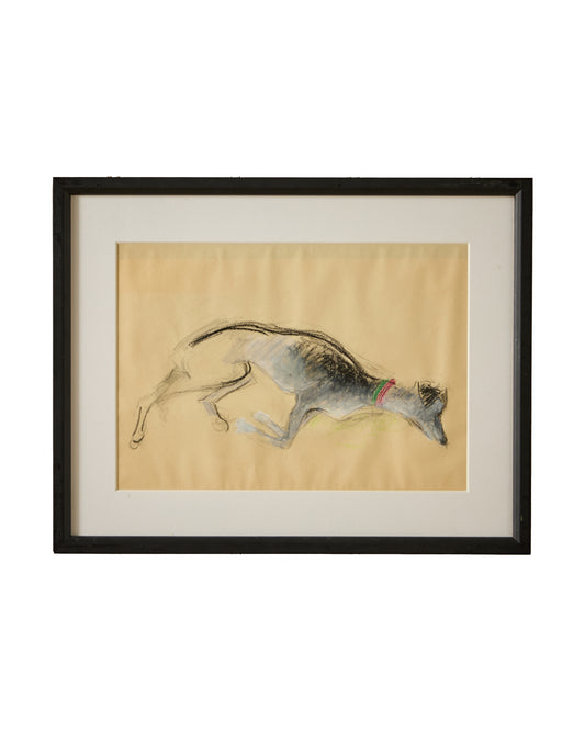 Sleeping Greyhound II - Audrey Lanceman (b.1931) - Charcoal and Chalk