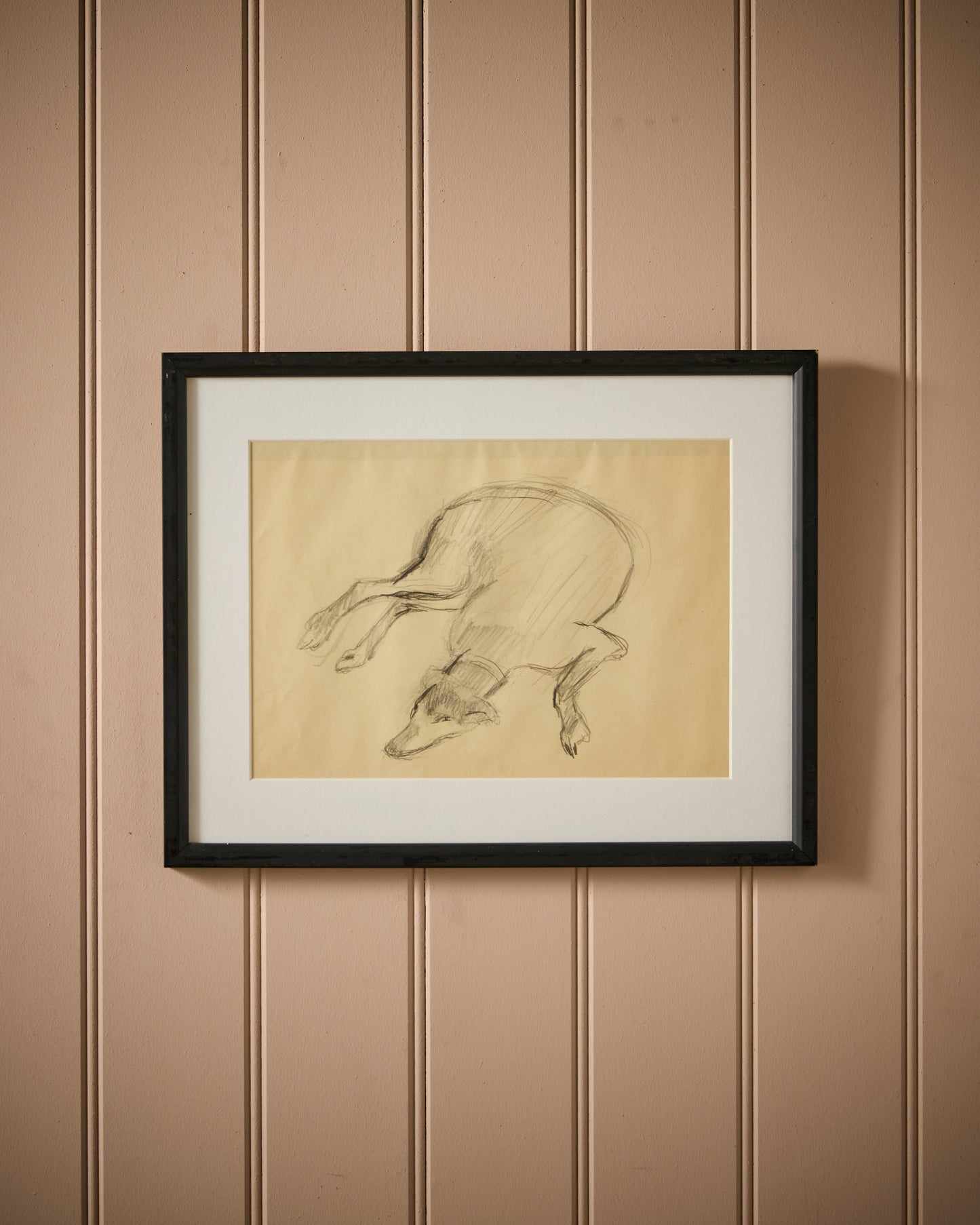 Sleeping Dog I - Audrey Lanceman (b.1931) - Charcoal and Chalk