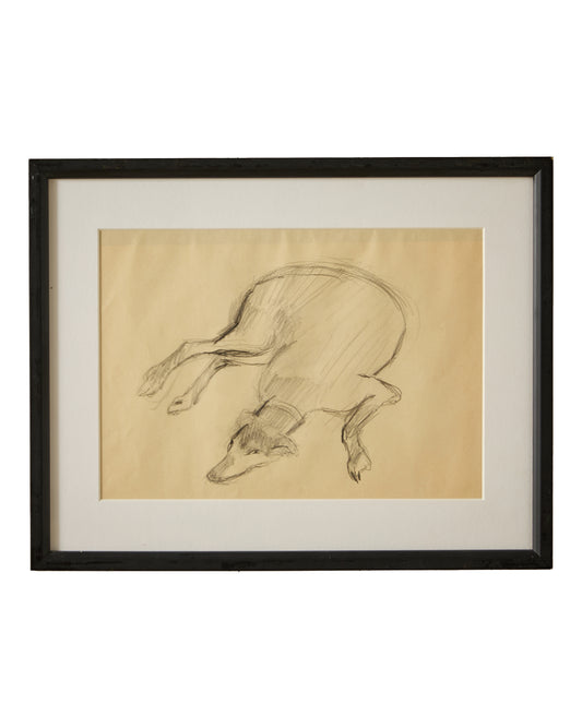 Sleeping Dog I - Audrey Lanceman (b.1931) - Charcoal and Chalk