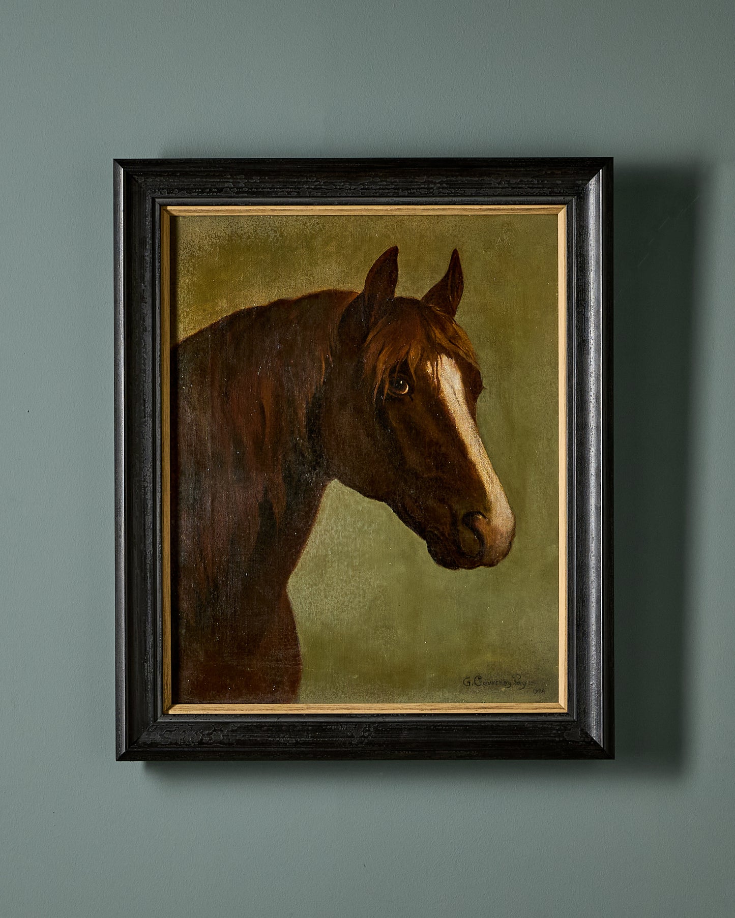 Oil on Canvas - Horse Study - 1924 - Signed G Courtney-Pays