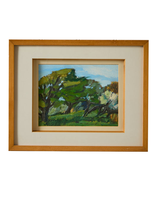 Summer Tree Study - Claire Mitchell - Oil on Board